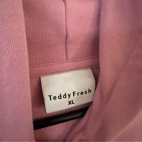 XL Teddy Fresh Pink Hoodie - Picture 4 of 6